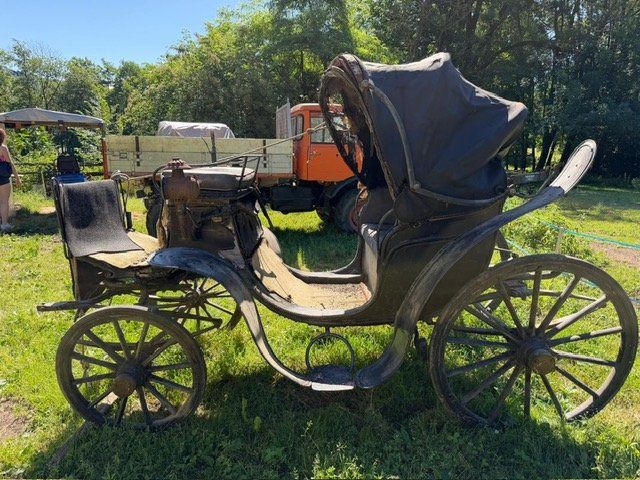 Kutschen: Vendo carrozza per cavalli – Gebraucht aus Stabio von bre_nql6
