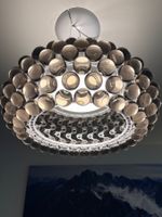 Caboche Foscarini