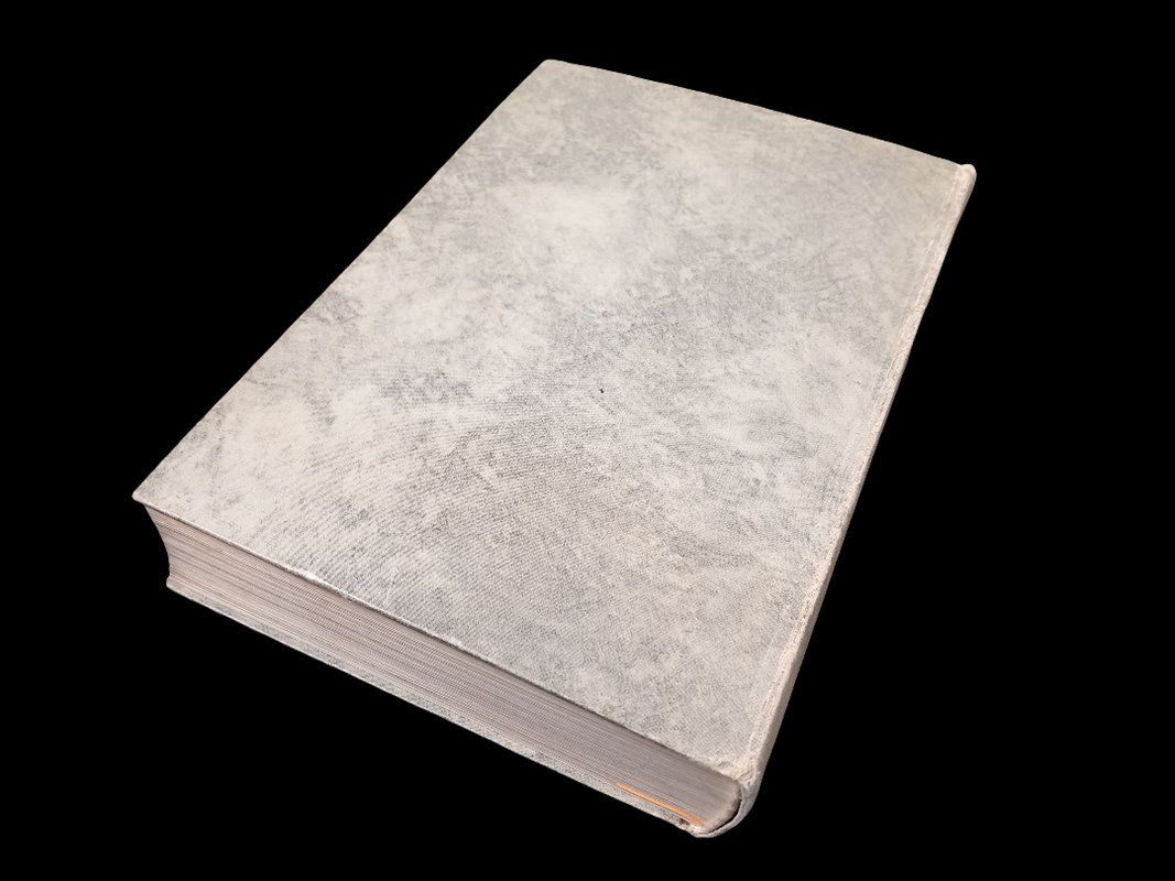 Libri: Durrenmatt Schweizer Geschichte Buch – Usato da Hünenberg venduto da Restwert_Zug 4
