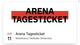 Tageseintritt Winti Arena 11.07.2026