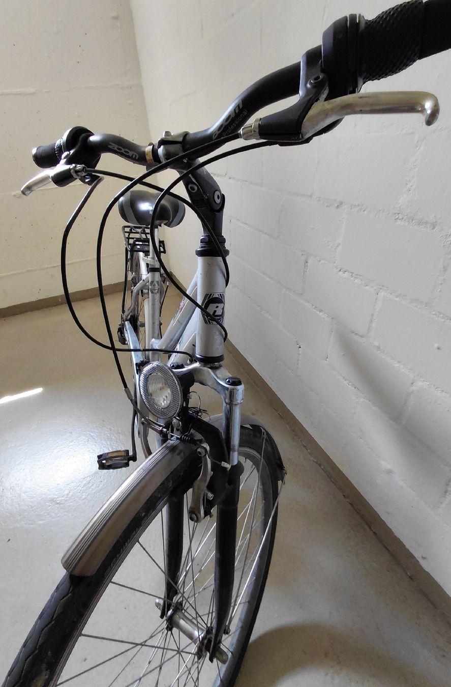 Vélos: Bici da trekking RADON argento usata – D'occasion à Dietikon par san_m896 1