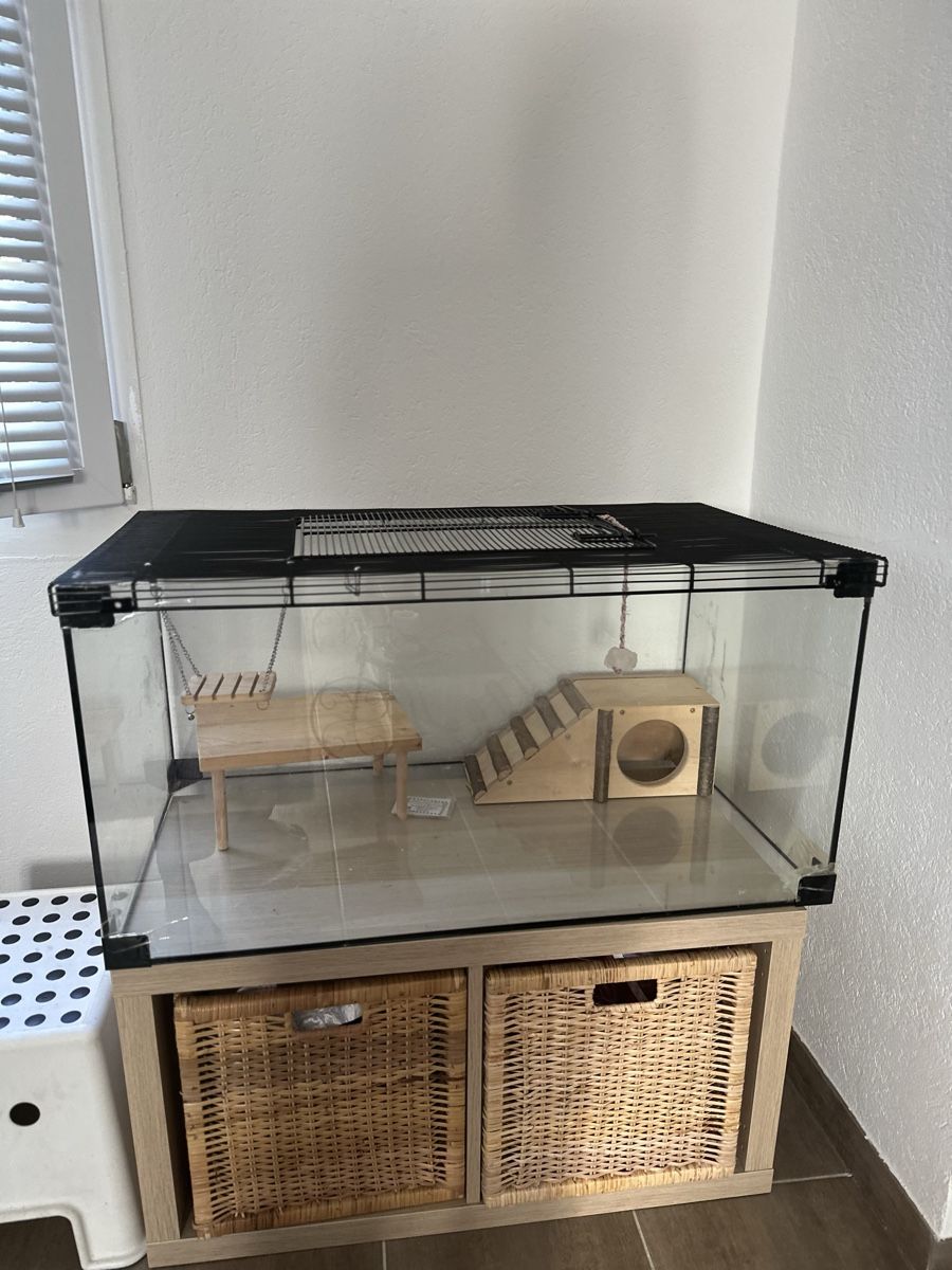 Gabbie, trasporto & Sicurezza: Hamster Cage with Accessories & Storage Unit - Nice! – Usato da Lenzburg venduto da buy_my92 3