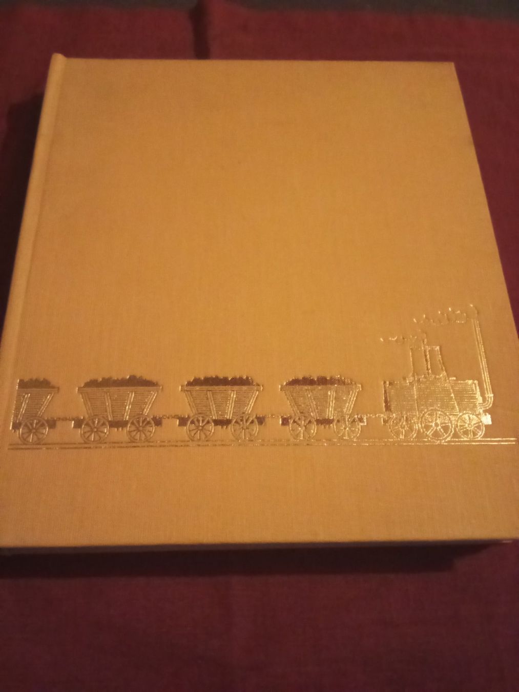 Libri: William Wenger - Eisenbahnen der Welt – Usato da Remetschwil venduto da Privatflohmi