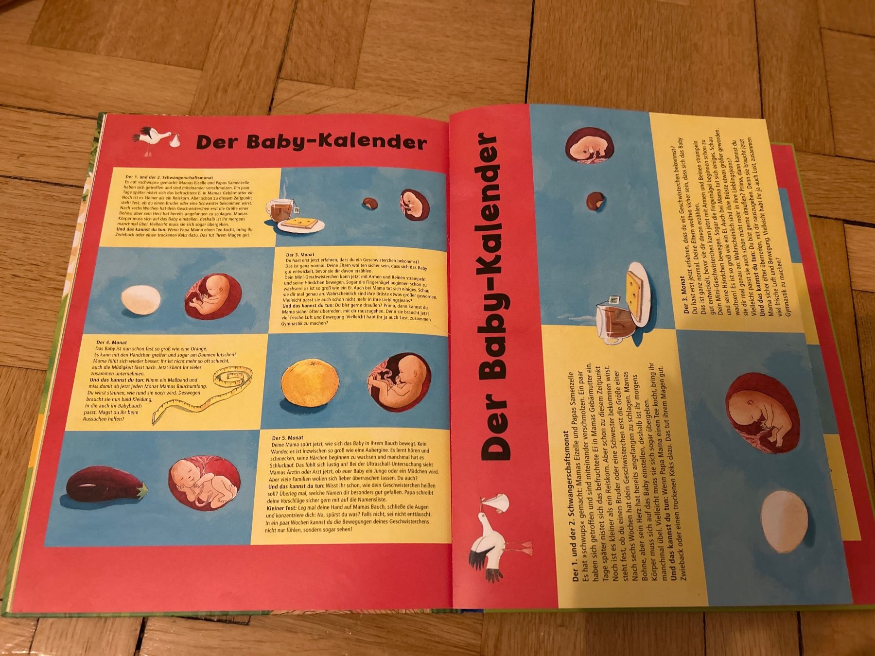 Bücher: Buch Lilli wird Baby- Expertin – Gebraucht aus Degersheim von Principessa_90 2
