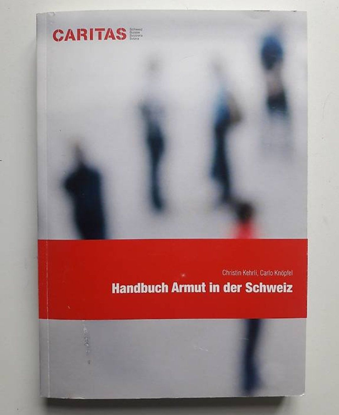Libri: Handbuch Armut in der Schweiz CARITAS – Usato da Uetendorf venduto da oinkioink88