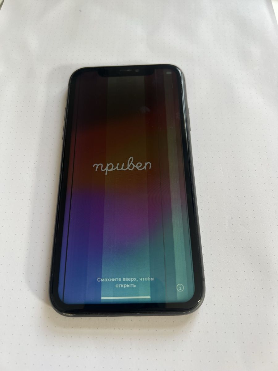 Apple Telefoni cellulari / Smartphones: Apple iPhone 11 schwarz Display mit Streifen – Usato da Zürich venduto da zleoh