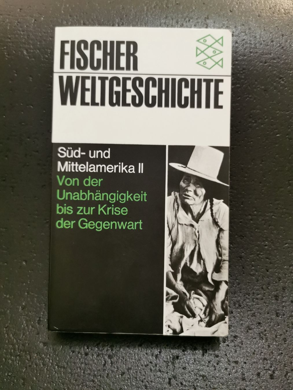 Livres: Fischer Weltgeschichte – D'occasion à Bern par cam_b7ts