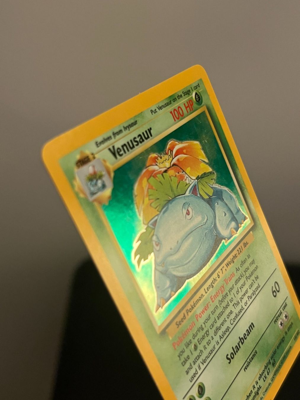 Pokémon Carte collezionabili: Pokemon Bisaflor / Venusaur Holo – Usato da Zollikerberg venduto da Guido175 6
