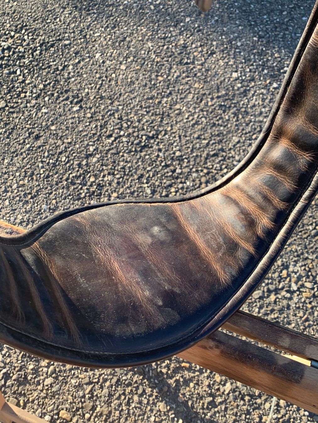 Selle & Accessori: Sangle Antarès – Usato da Lamboing venduto da pet_djp8 5