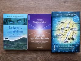 Pascal Voggenhuber Bücher Set: 3 Stück