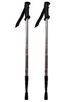 2er Set Wanderstöcke bis 130 cm - Silber