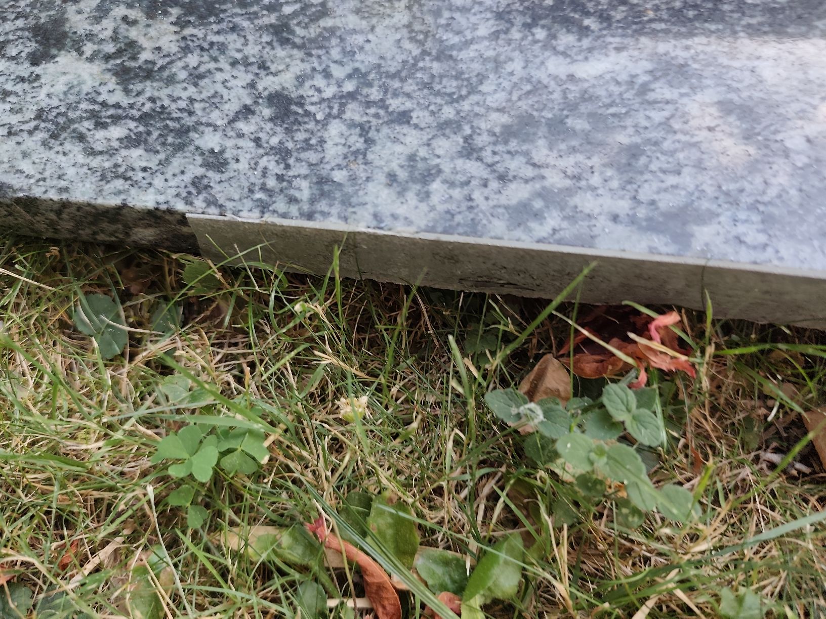 Plateaux: Granit Platte  – D'occasion à Nussbaumen AG par Dnedi 4