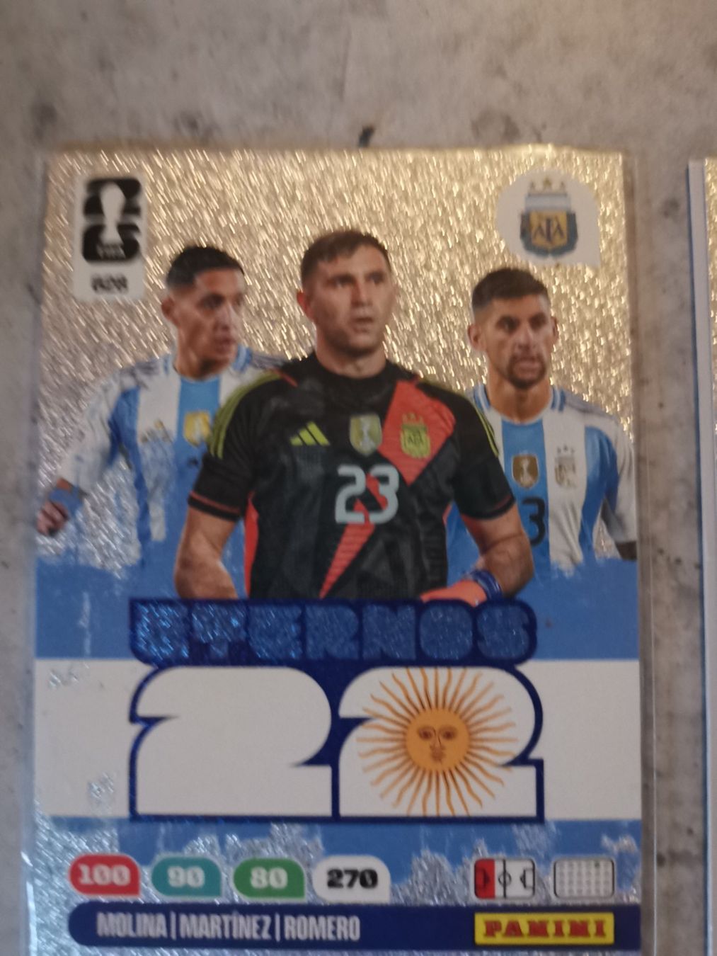 Panini Carte collezionabili: 2 Fussball WM PANINI Karten – Usato da Altnau venduto da playboy 2