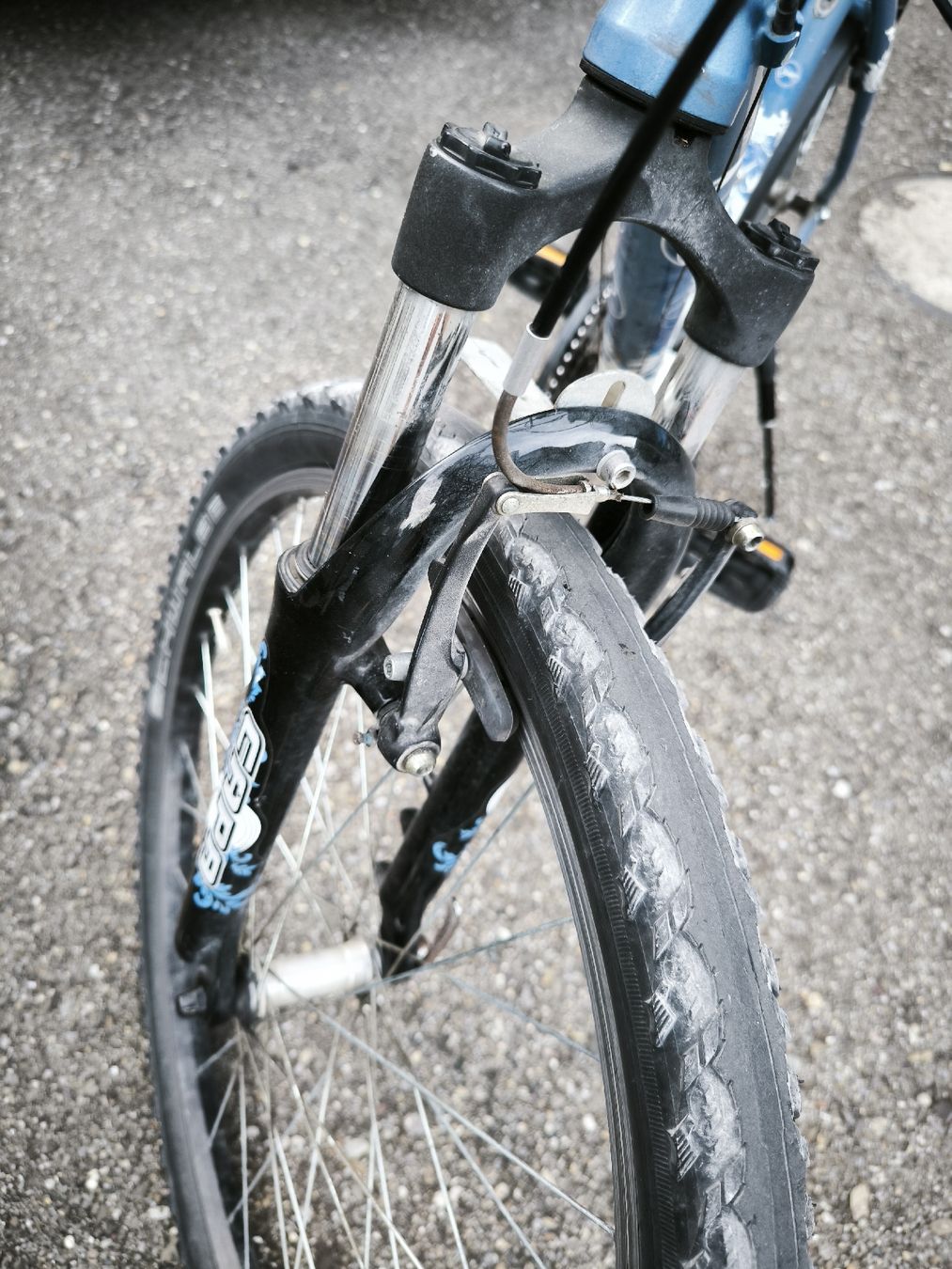 Scott Biciclette: Scott Contessa 26  gebraucht – Usato da Rüthi (Rheintal) venduto da Boschacat 1
