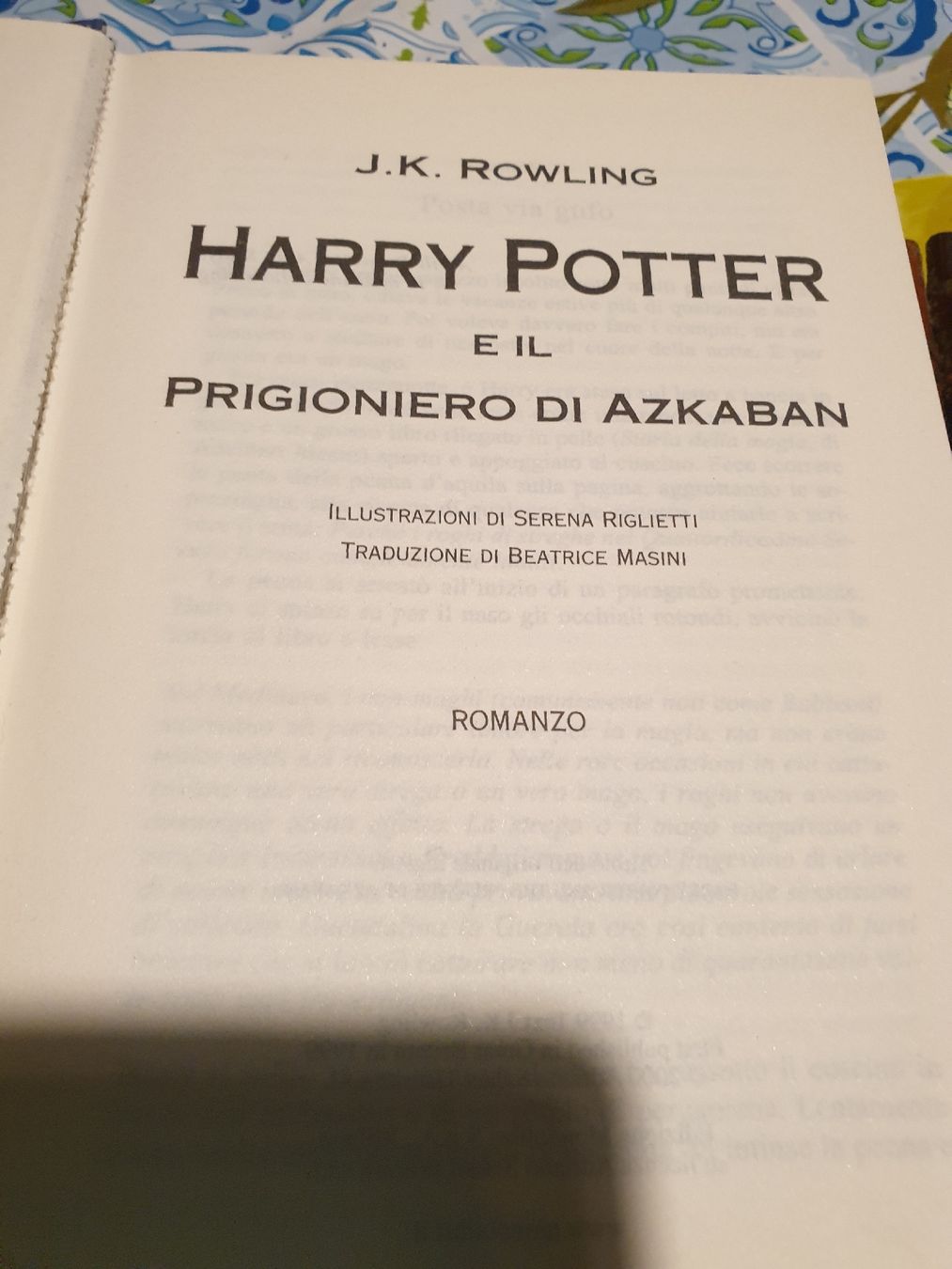 Libri: HARRY POTTER – Usato da Viganello venduto da Priska.c 1