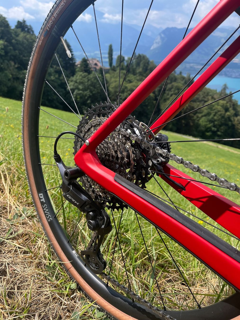 Thömus Velos: Thömus Gravelbike – Neu (gemäss Beschreibung) aus Uttigen von Fluregna 3