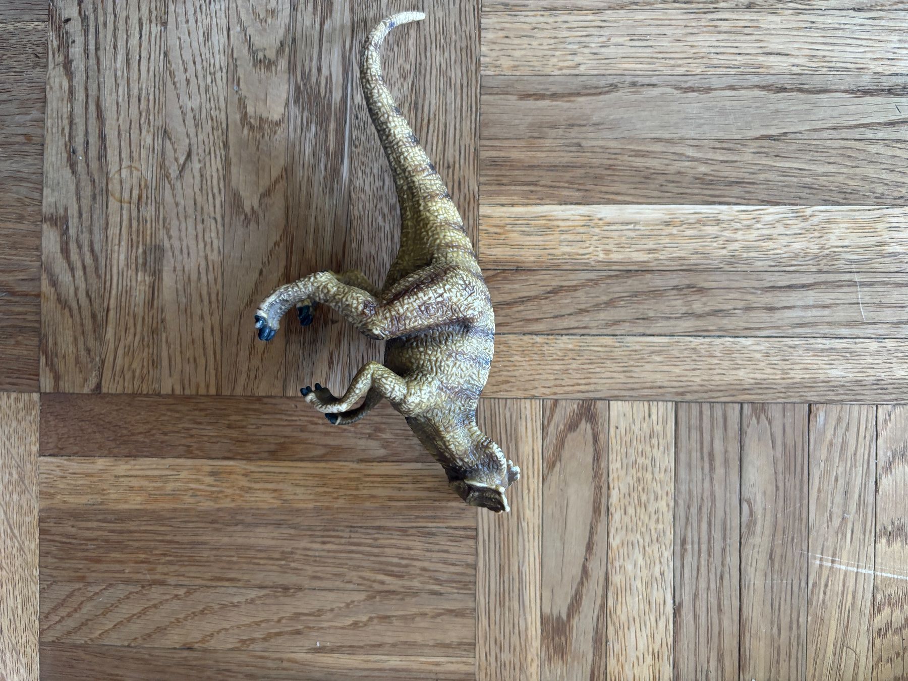Schleich Giocattoli: Schleich Allosaurus 🦖 – Usato da Tägerwilen venduto da mar_87t5 1