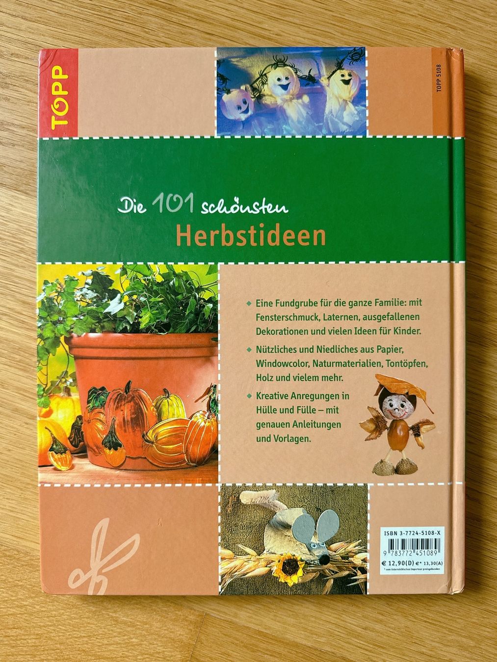 Libri: Bastelbuch 101 schönste Herbstideen – Usato da Muttenz venduto da denise06 1