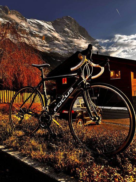 Focus Variado Rennrad (Gebraucht) in Grindelwald für CHF 200 – nur ...