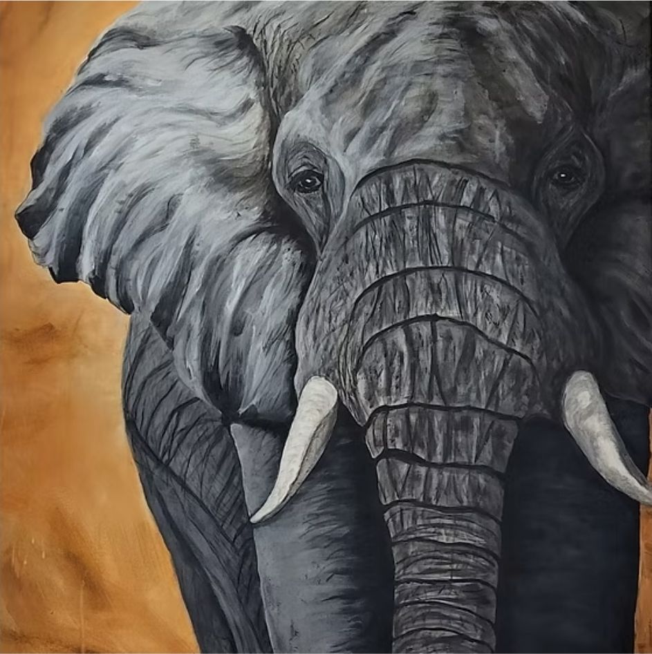 Foto & Immagini: Elefant – Nuovo (secondo la descrizione) da Meggen venduto da car_rxl6 1