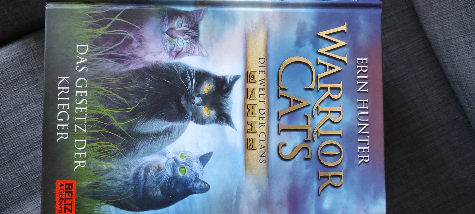 Libri: Warrior Cats Special Adventures, 4 Bücher – Usato da Bassersdorf venduto da lar_9p6m 2
