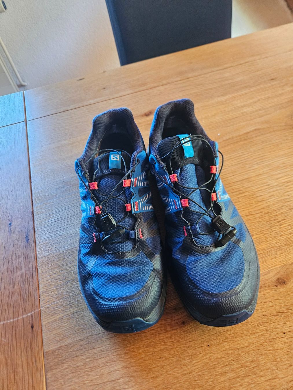 Salomon Chaussures hommes: Salomon Wanderschuhe Gr.44 2/3 – D'occasion à Kienberg par maca121