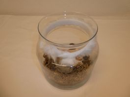 Glasschale mit Rand