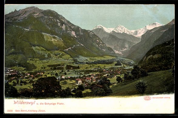 Ansichtskarten: Wilderswyl, Panorama mit Schnynige Platt – Gebraucht aus Berlin von bartko-reher