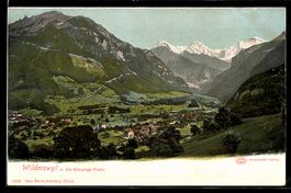 Wilderswyl, Panorama mit Schnynige Platt