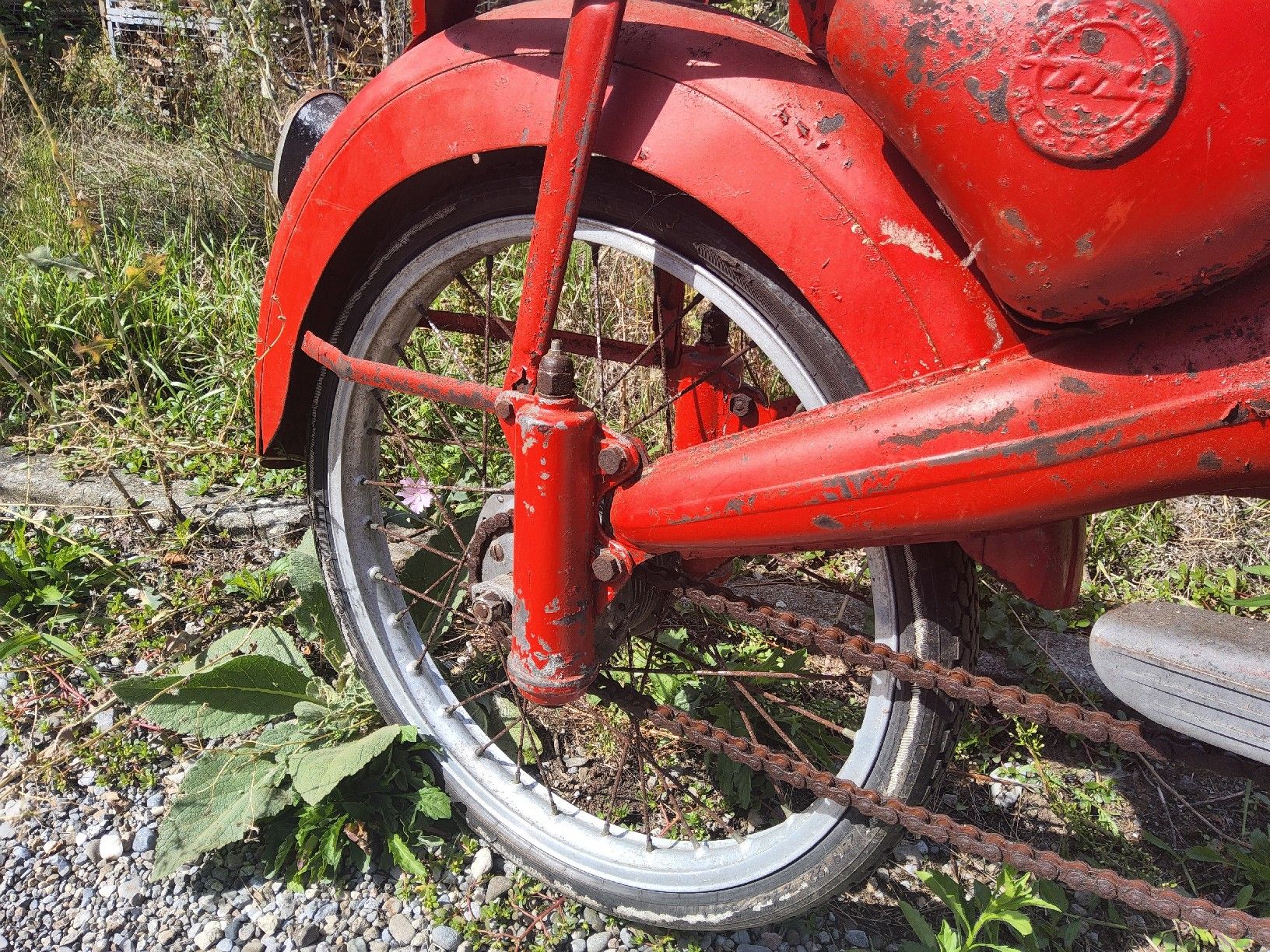 Motom Cyclomoteurs: Mofa Motom – Défectueux à Schüpfen par ber_j6b6 4