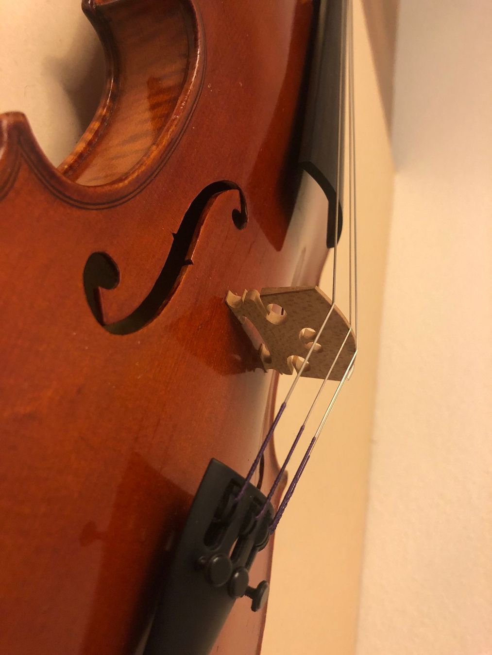 Strumenti musicali: 4/4 Geige, Geigenbauschule im Mittenwald – Usato da Zürich venduto da bmu_d9mc 2