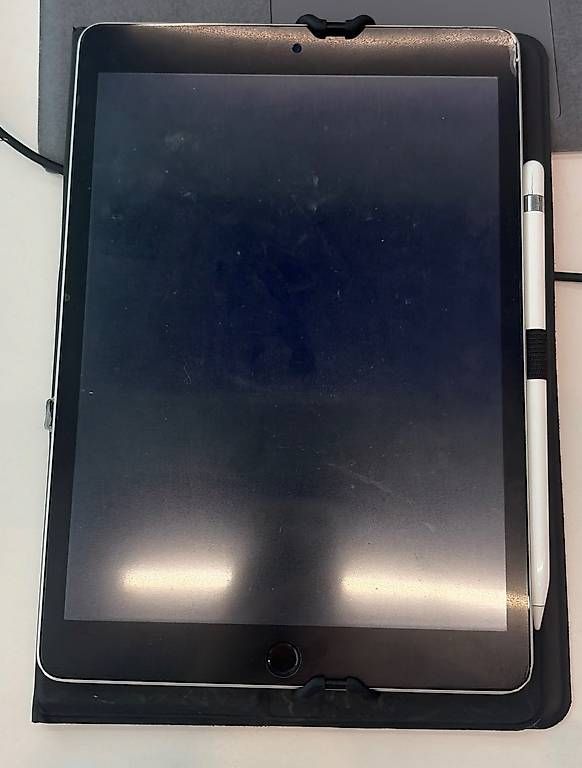 Tablet PC: Apple iPad 9th Generation (2021) + Apple Pencil  – Gebraucht aus Birsfelden von ann- 1