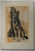 Lithografie Werner Eberli Gottlieben Thurgau Schäferhund