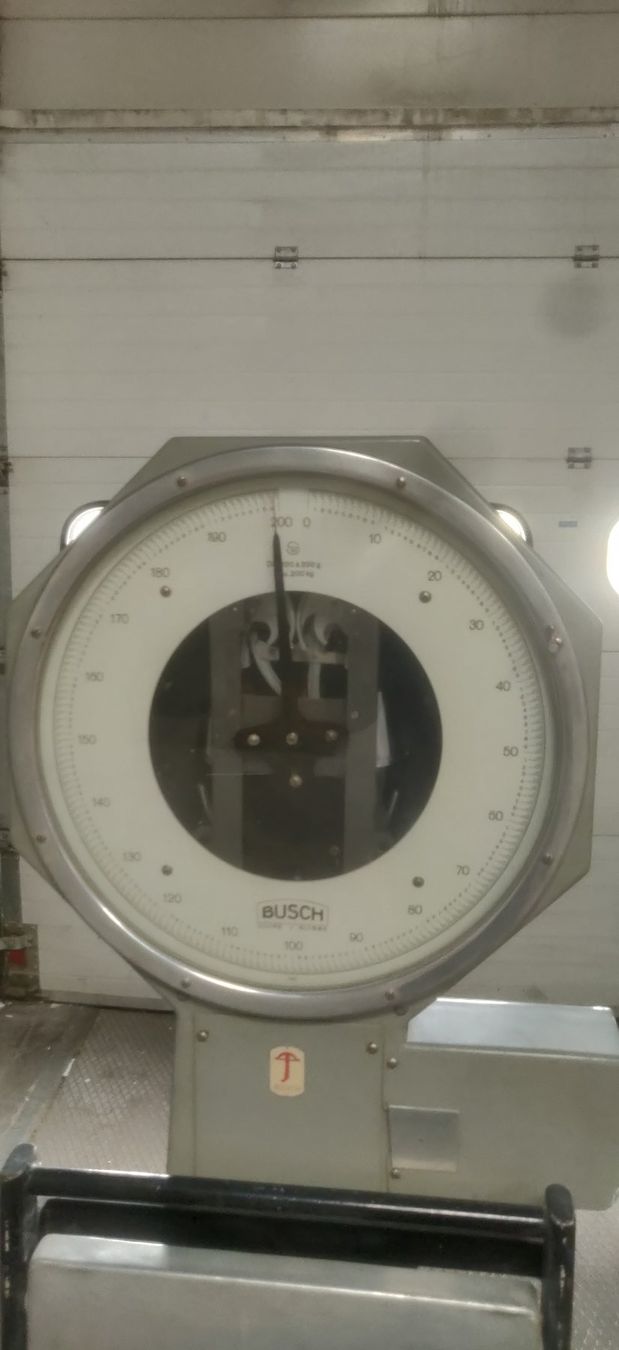 Bilance e pesi: Balance Busch Type LV 200 Kg – Usato da ETOY venduto da pvi_n82v 3