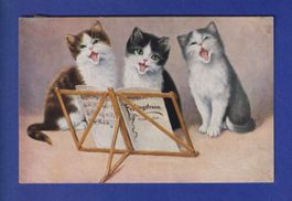 CHAT - Chatons chorale // voir dos //