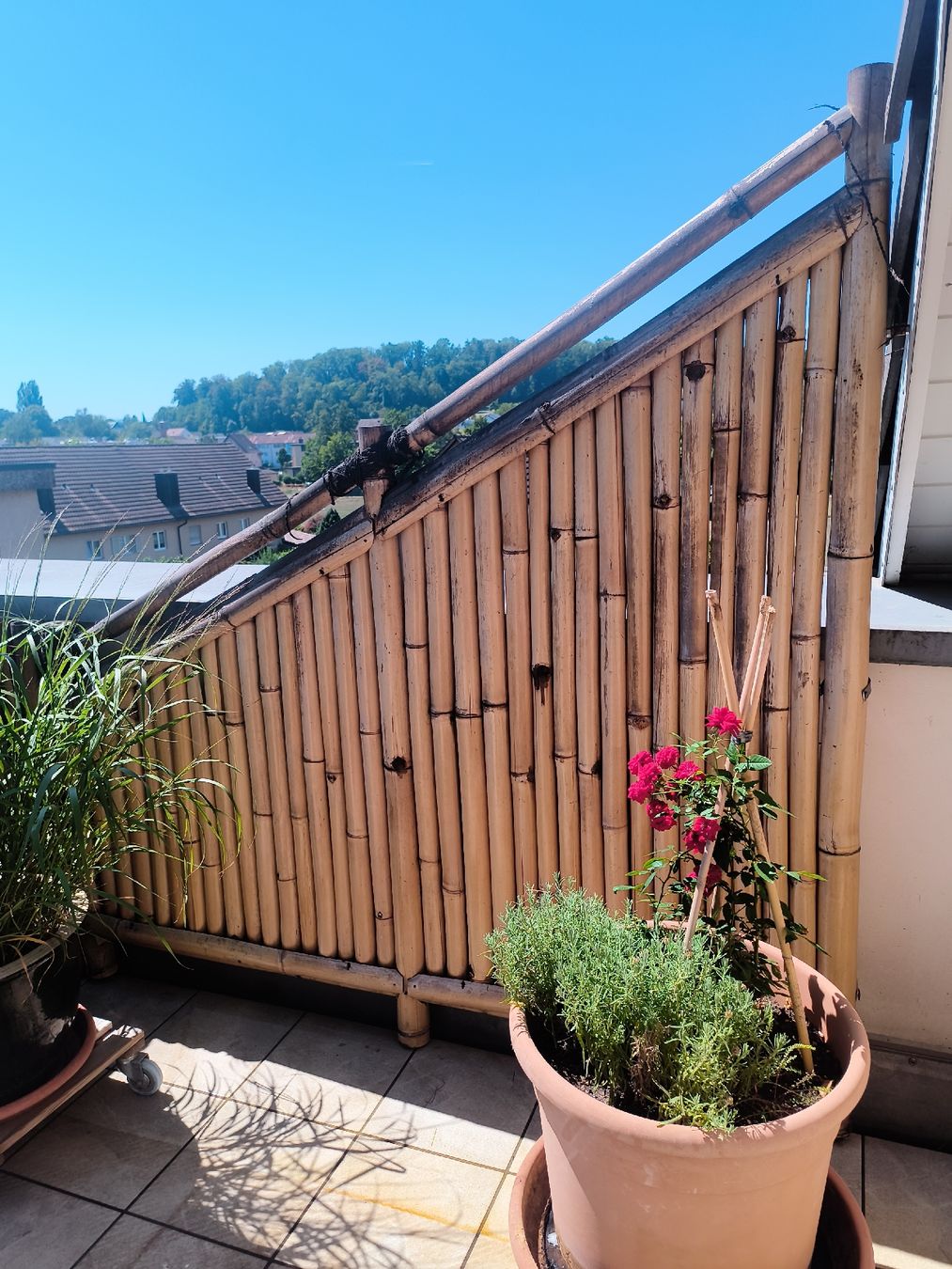 Paravents: Bambus Zaun /Sichtschutz – D'occasion à Niederglatt ZH par wit_rs5w 4