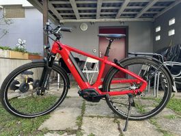 Cresta eGiro neo E bike 