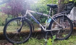 Globe Trotter 26" City / Trekking Fahrrad mit Federgabel