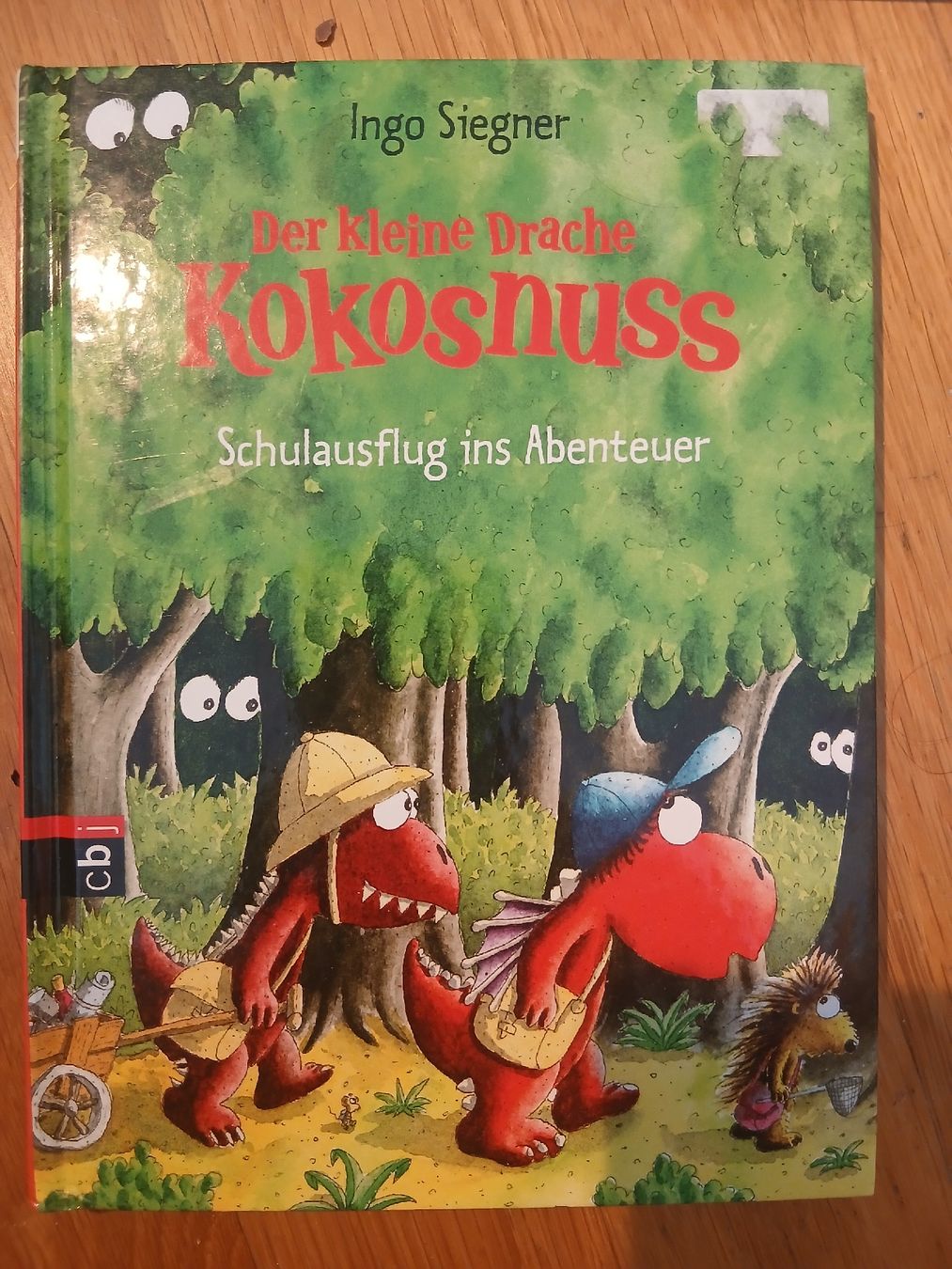 Libri: Drache Kokosnuss Schulausflug ins Abenteuer – Usato da Bischofszell venduto da Mama_x