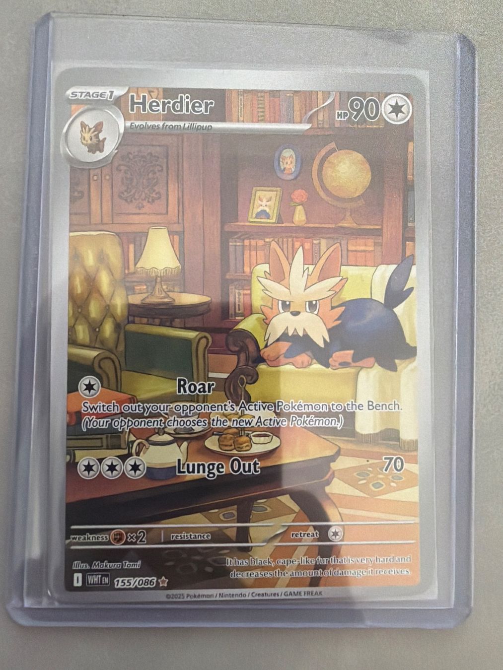 Pokémon Cartes à collectionner: Pokemon Herdier 155/086 – Neuf (Voir description) à Gossau SG par Makijali