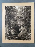 Original Vintage Poster - Wilder Park mit Holzbrücke