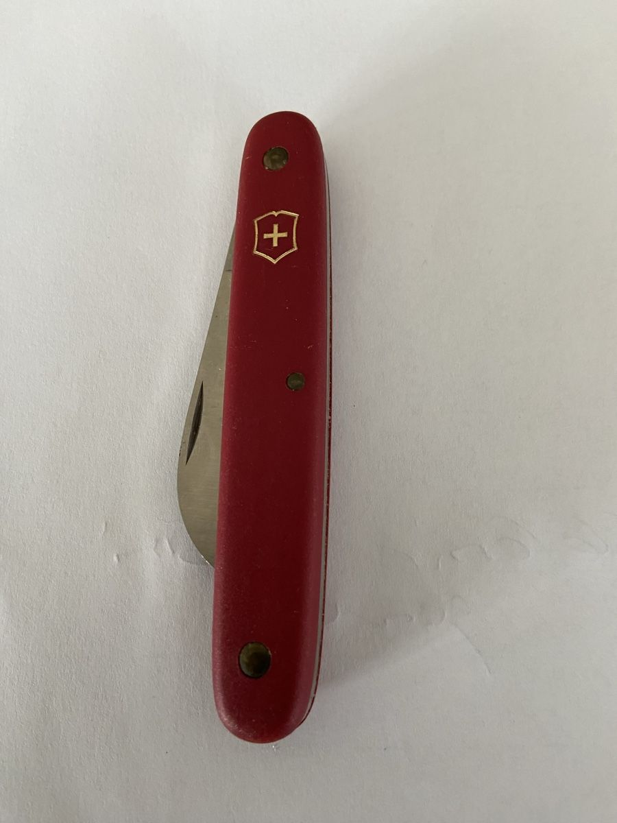 Victorinox Taschenmesser: Sackmesser Victorinox alt – Gebraucht aus Jona von aroosa