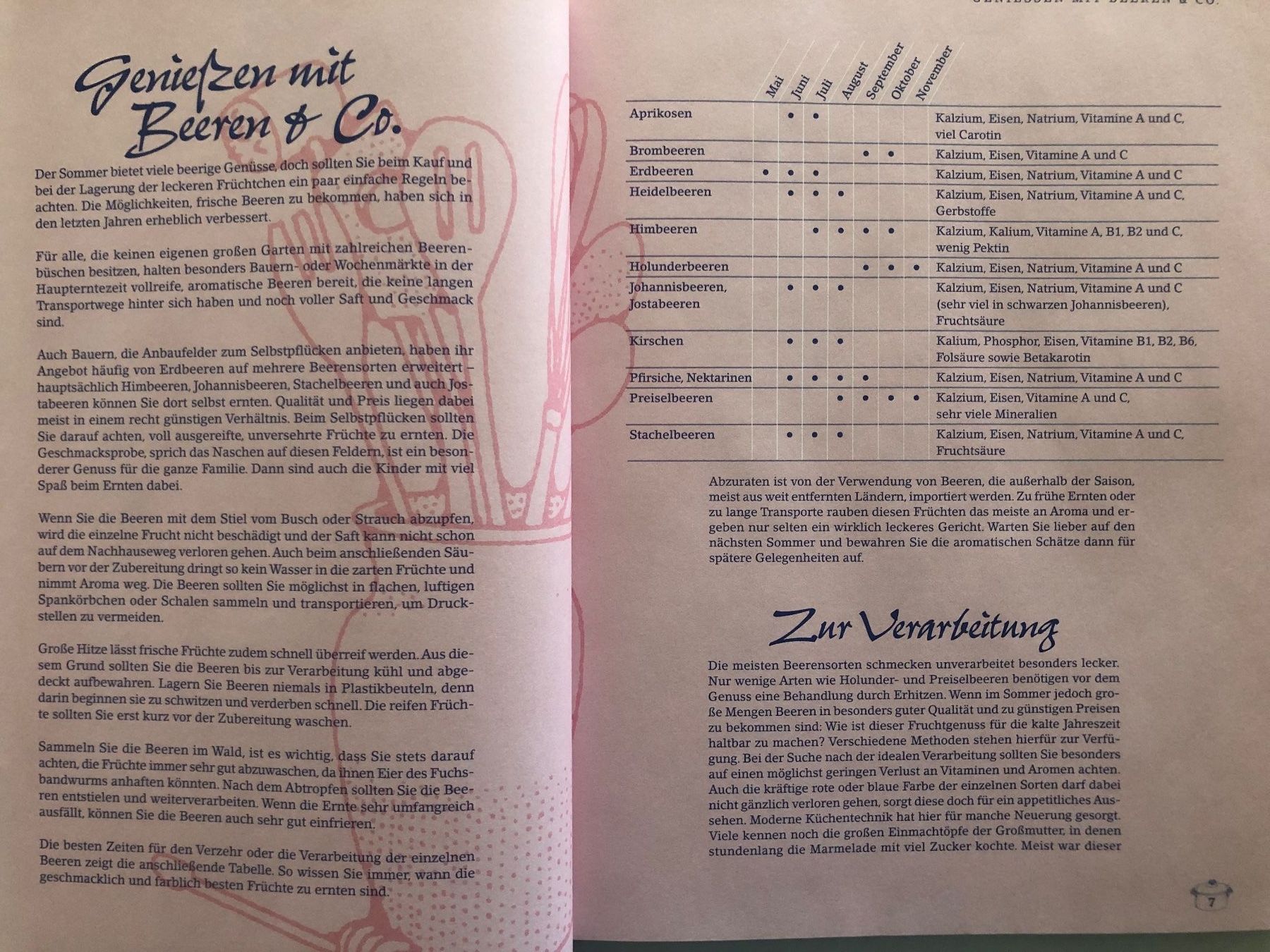 Libri: Das Landfrauen Beerenbuch – Usato da Pfäffikon ZH venduto da Wacardo 4