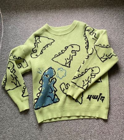 Dino-Pulli🦖, Gr. M, Top Zustand!