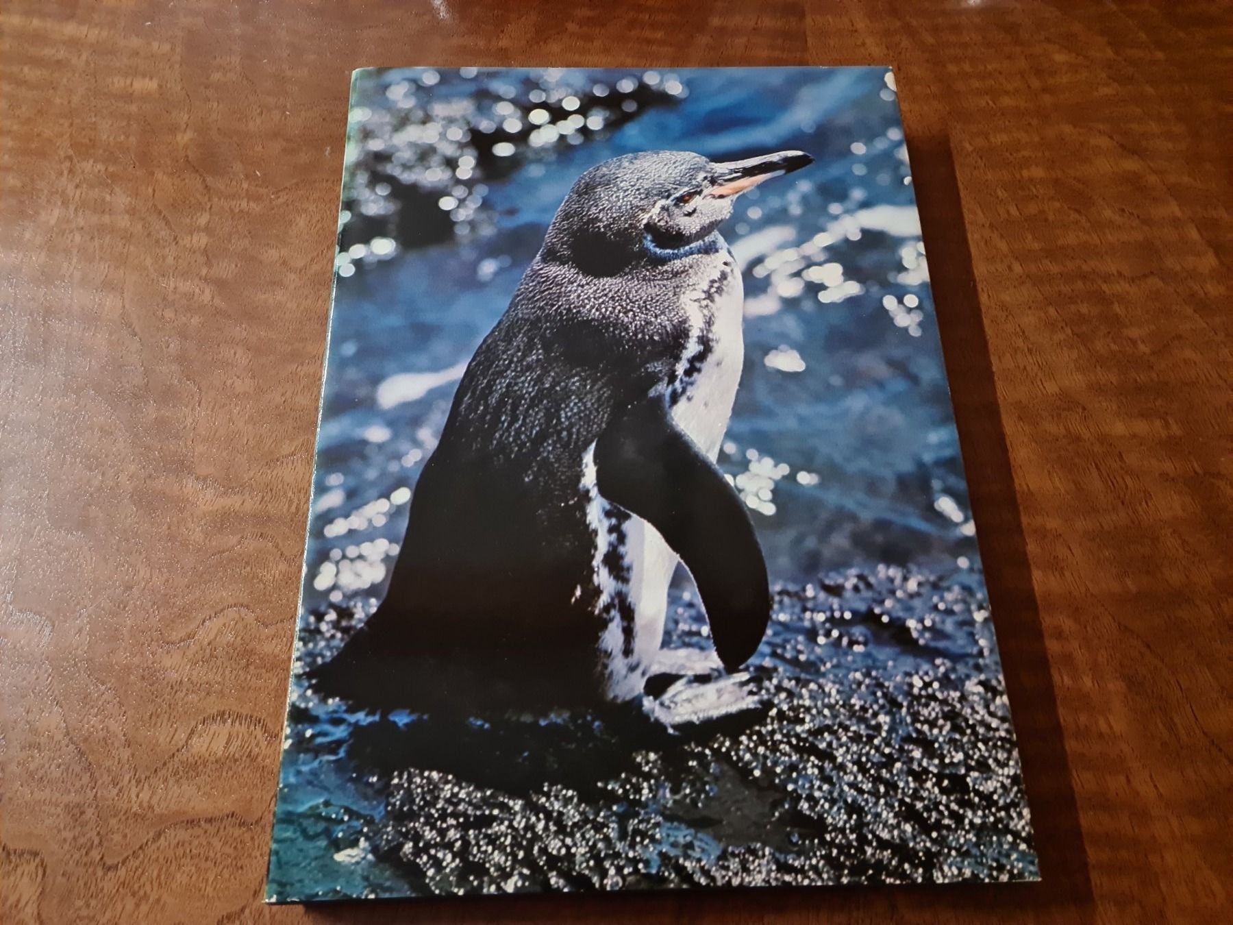 Bücher: Zoo Galapagos – Gebraucht aus Erstfeld von Uhu1980