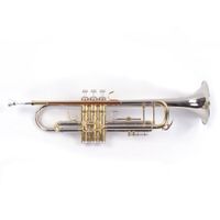 Bb Trompete 409 Neusilber Goldmessing Mundrohr Monelventil