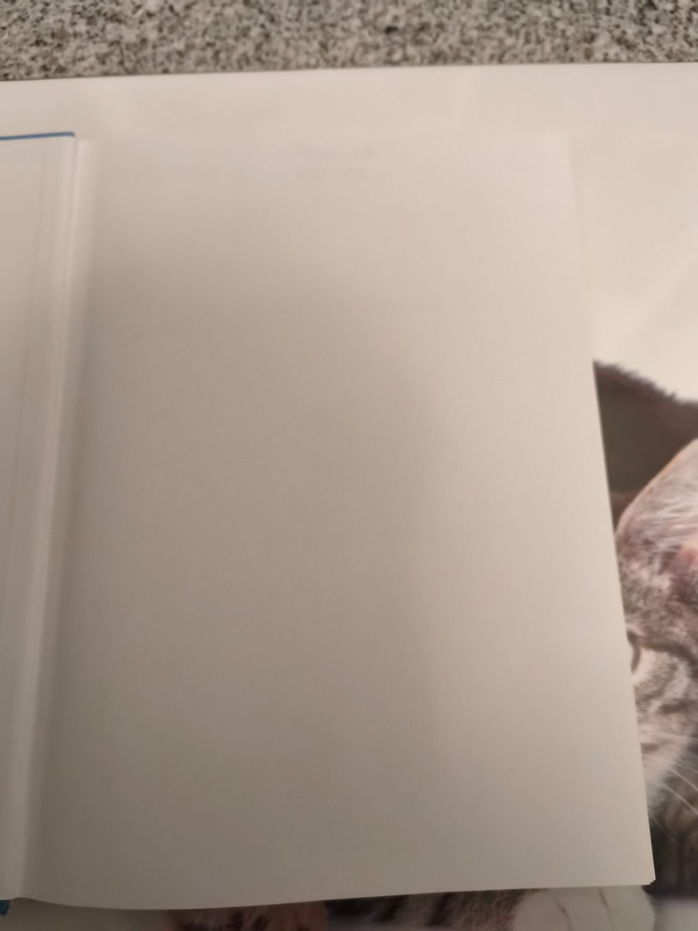 Libri: Sozialwissenschaften Hobmair – Nuovo (secondo la descrizione) da Starrkirch-Wil venduto da wae_xd2j 2