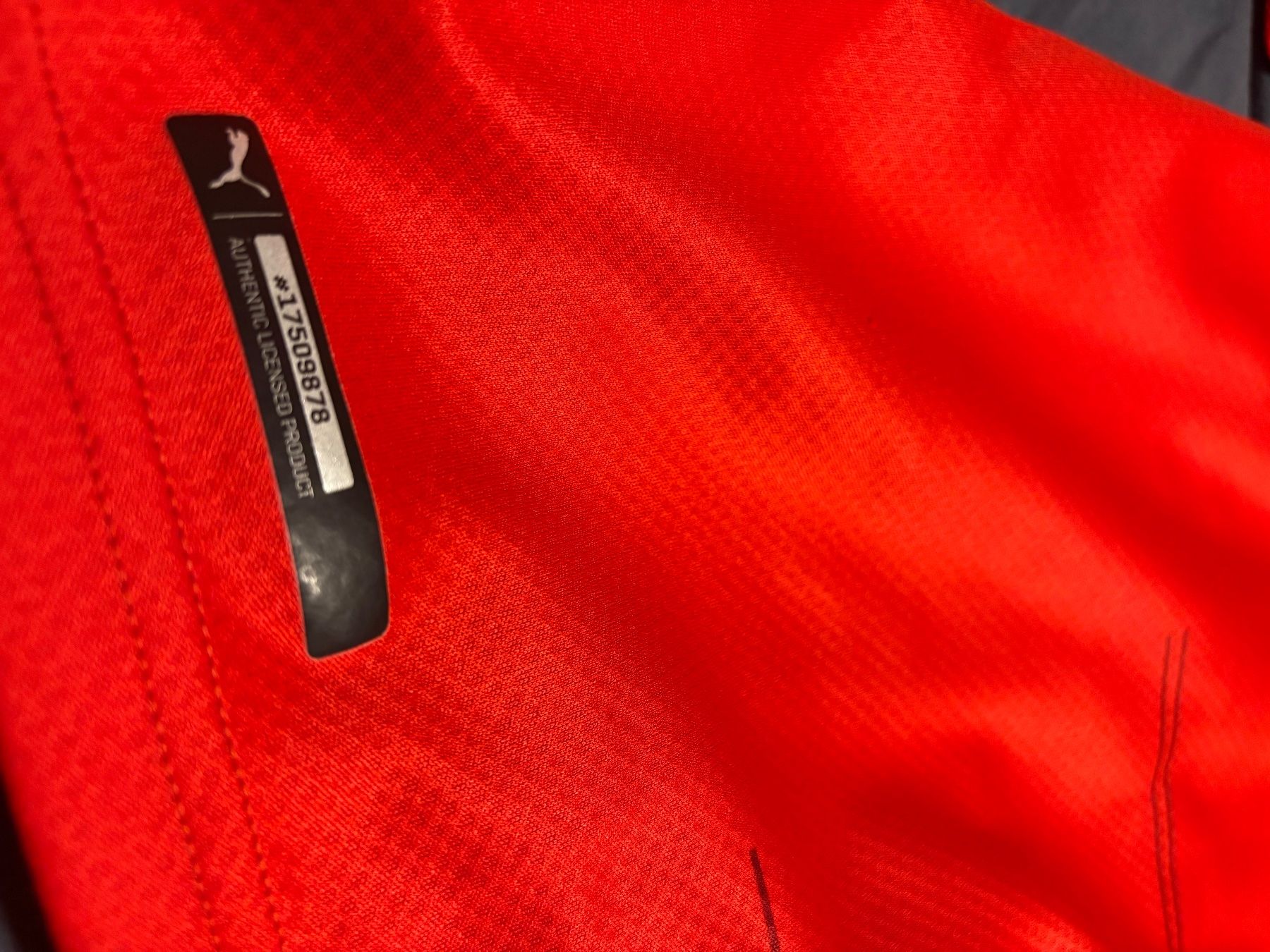 Schweizer Nati Canottiere & Pantaloni: Schweizer Trikot Away / Grösse L – Nuovo (secondo la descrizione) da Diepoldsau venduto da yannick_1805 3