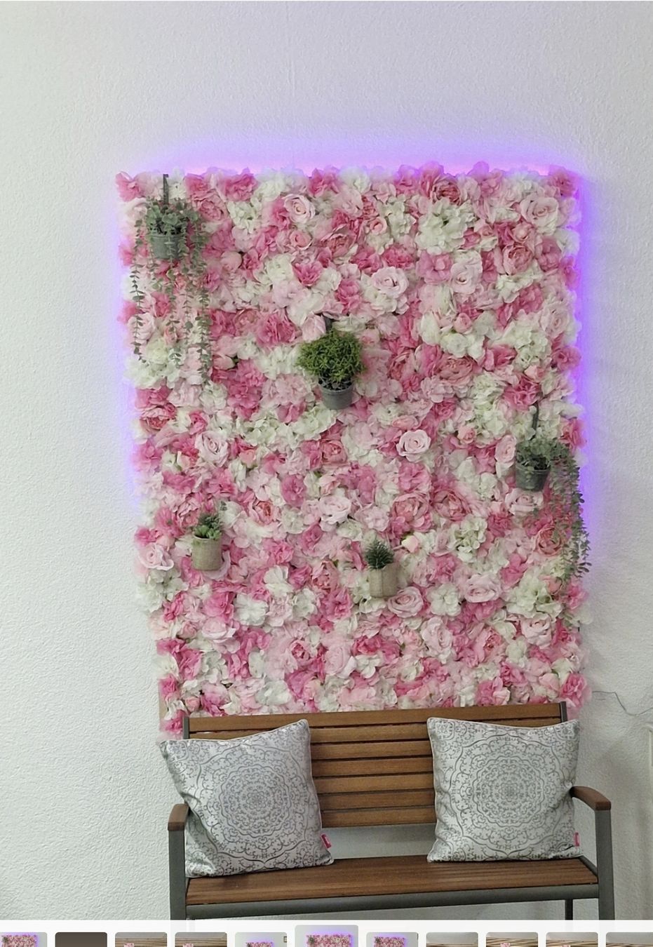 Tutte le decorazioni: Blumenwand Hochzeit Party – Usato da Oensingen venduto da haar-box