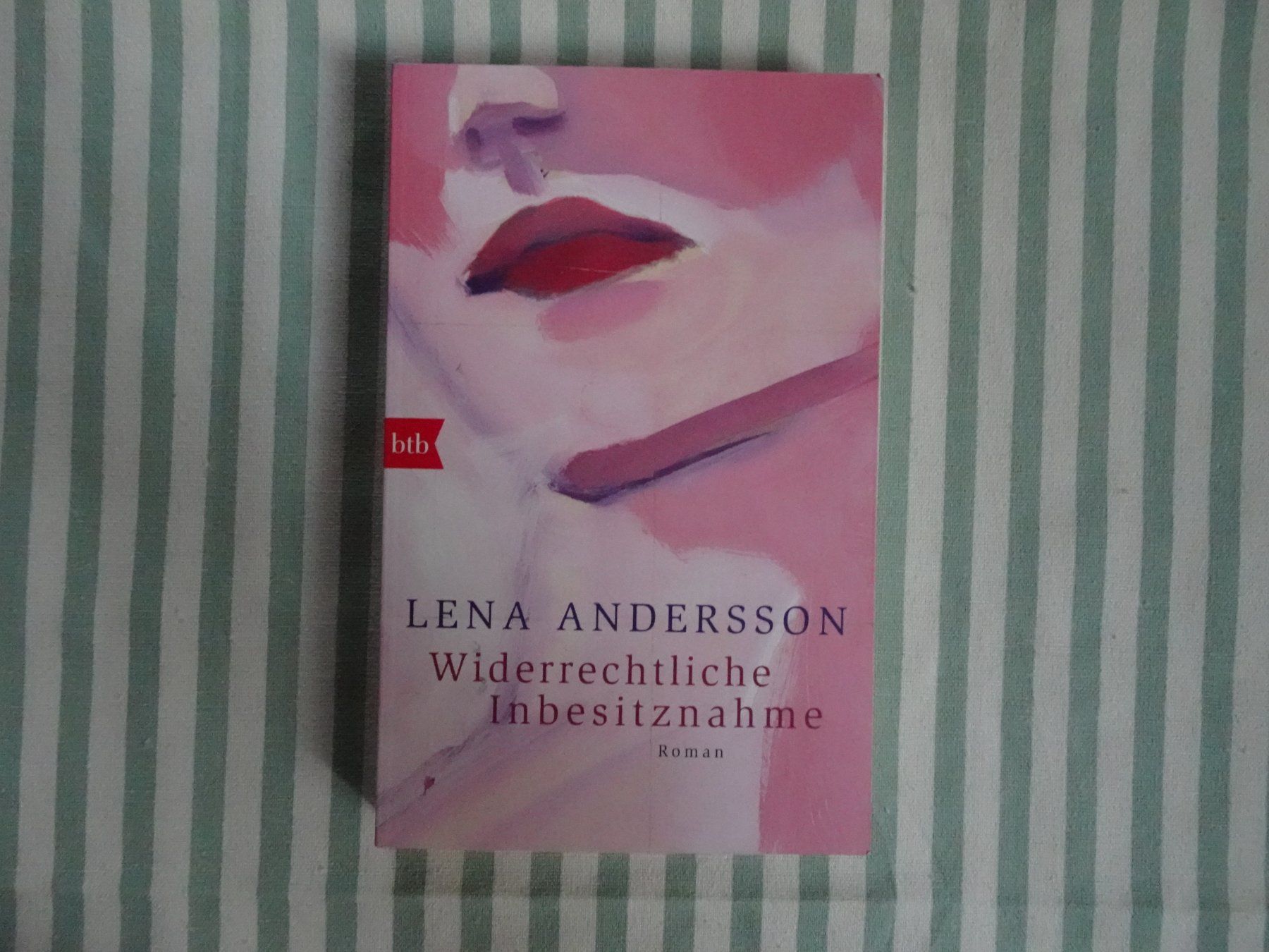 Libri: Lena Andersson - Widerrechtliche Inbesitznahme - B839 – Usato da Küssnacht am Rigi venduto da Bookslove-Divers